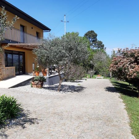Quinta Do Senhor Villa Braga Eksteriør billede
