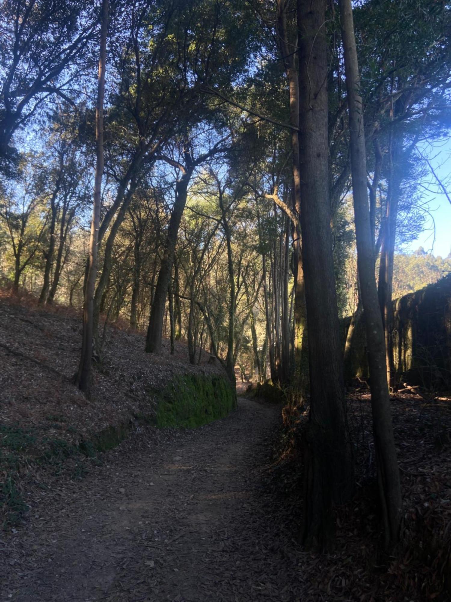 Quinta Do Senhor Villa Braga Eksteriør billede