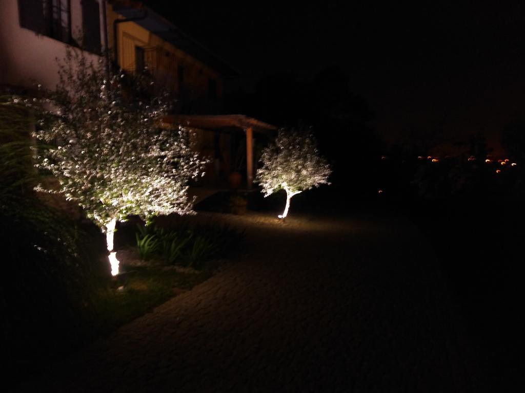 Quinta Do Senhor Villa Braga Eksteriør billede