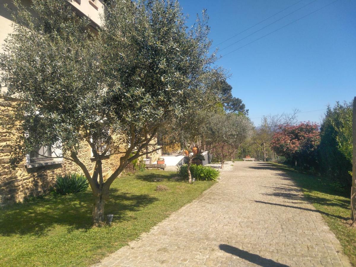Quinta Do Senhor Villa Braga Eksteriør billede